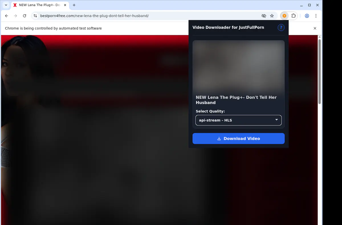 Justfullporn Video Downloader browser extension screenshot 3